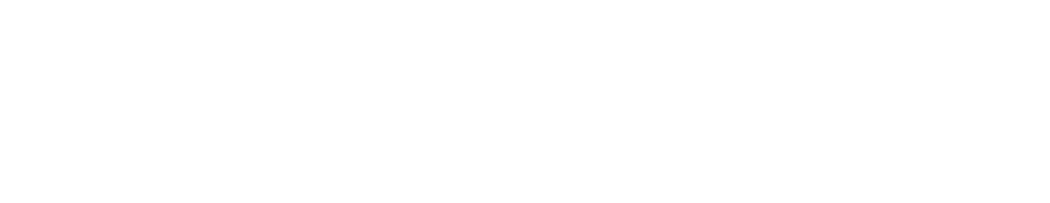 NB8 Nordic Circle Mentoring Program