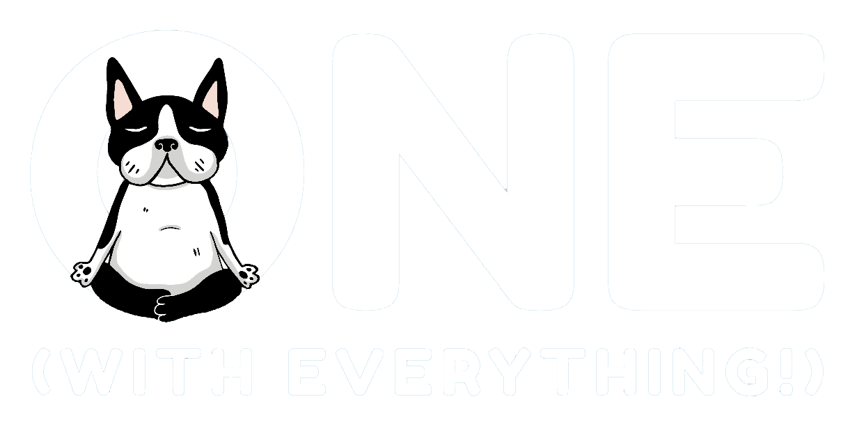 ONE (with everything!)