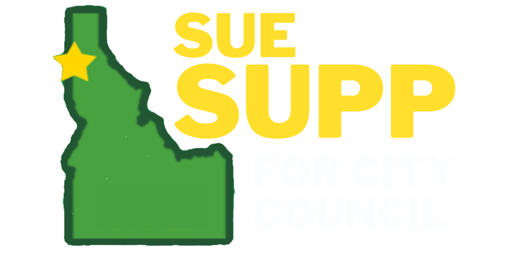 ELECT Sue Supp for Dalton Gardens 2021 City Council