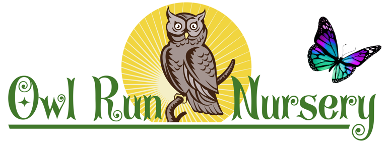 Owl Run Nursery