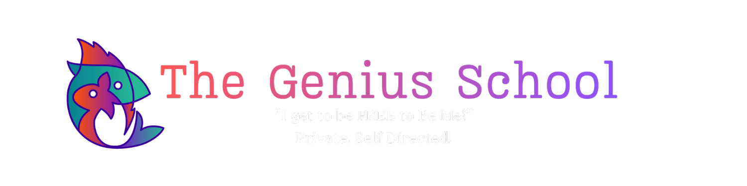 The Genius School