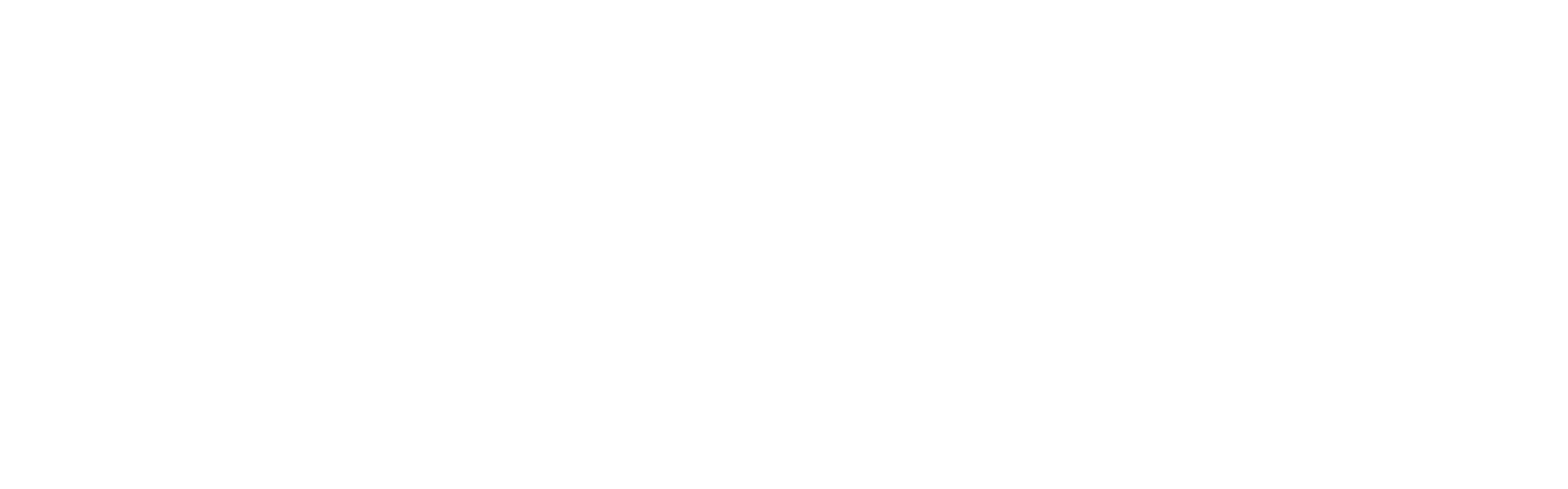 PICHA Group