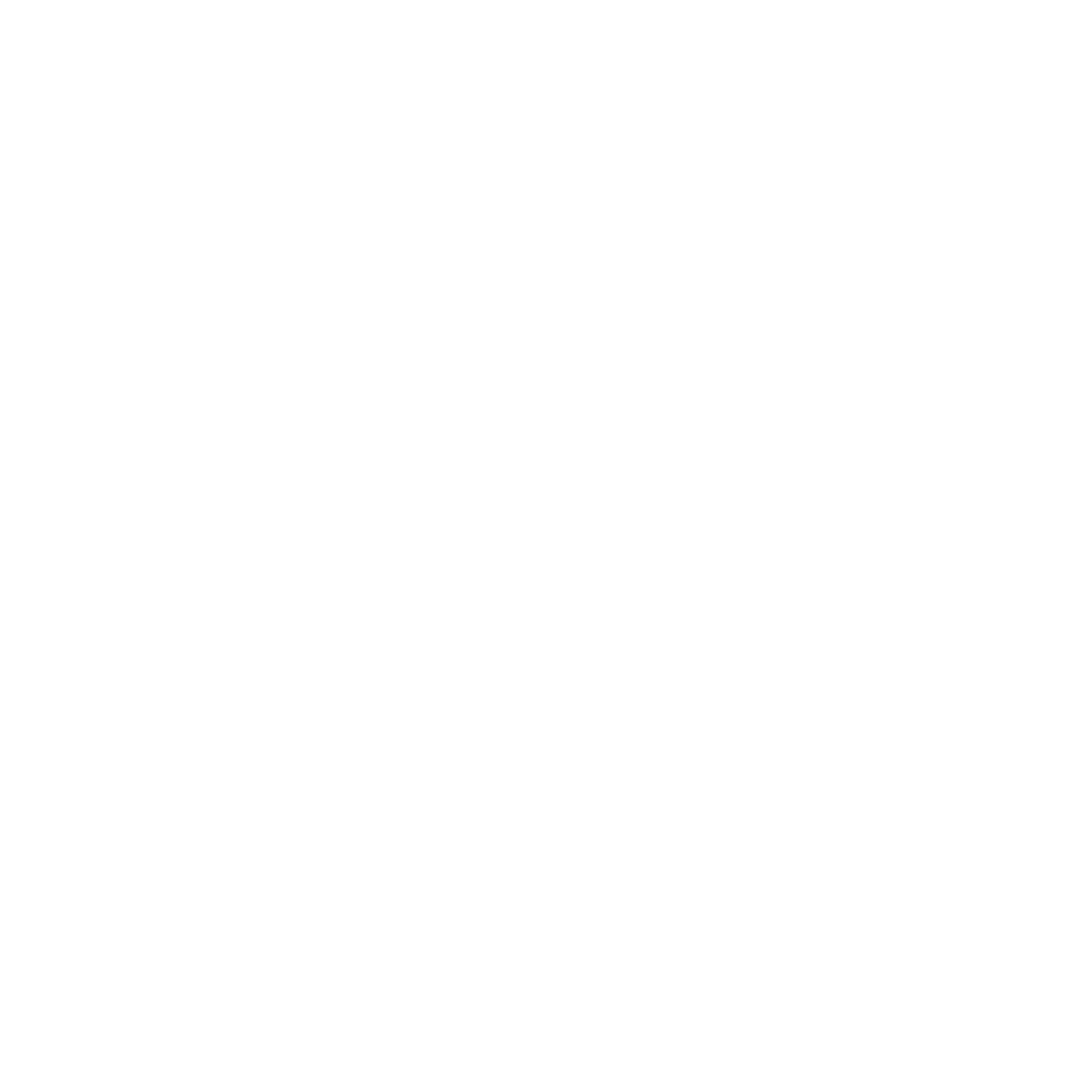Renewed Roof and Construction