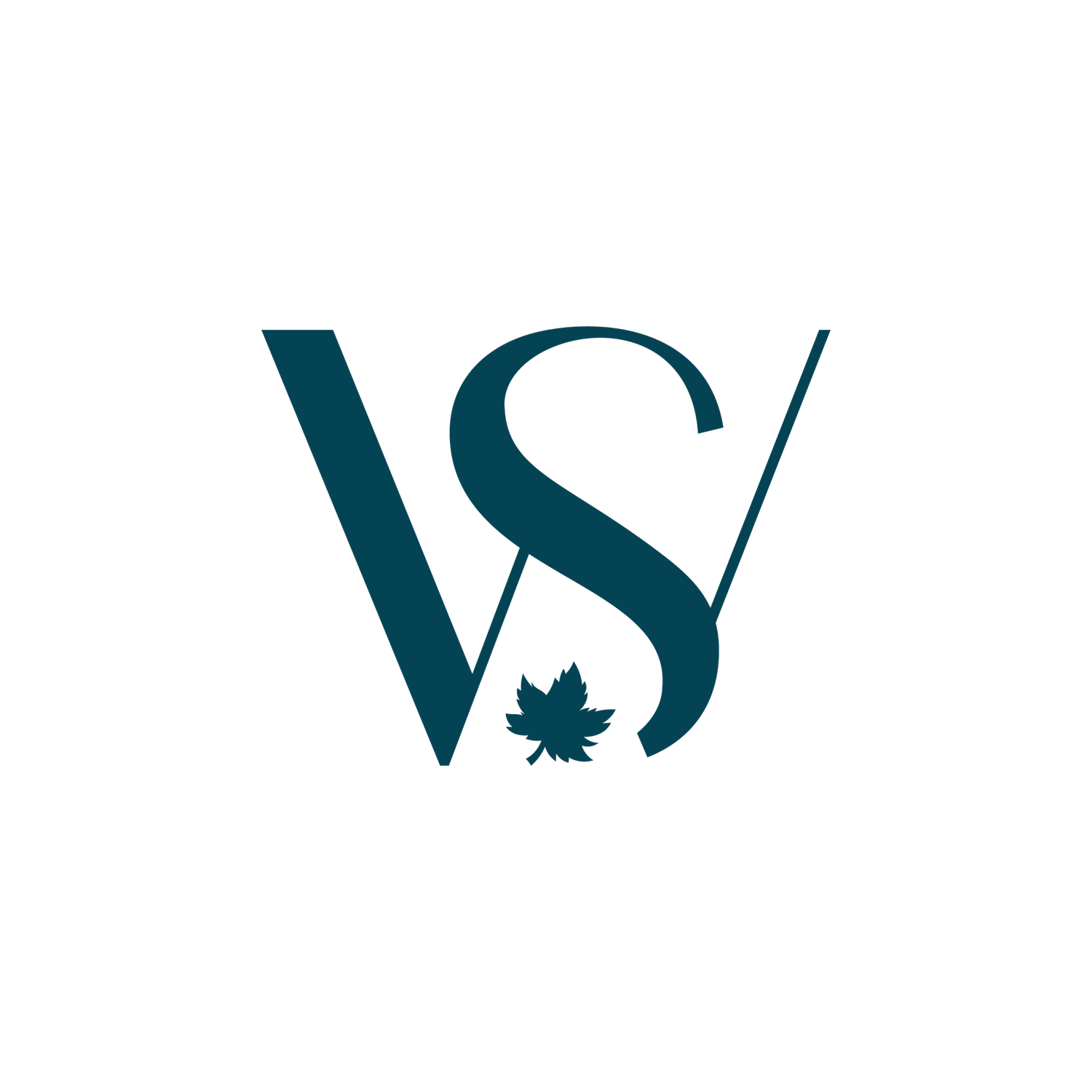 Work Smart Canada | Business Triage Advisor for Entrepreneurs