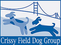 Crissy Field Dog Group