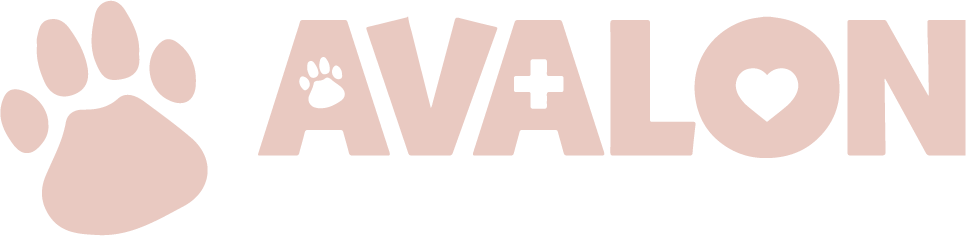Avalon Animal Hospital