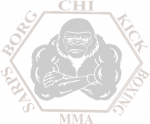Sarpsborg Chi &amp; MMA
