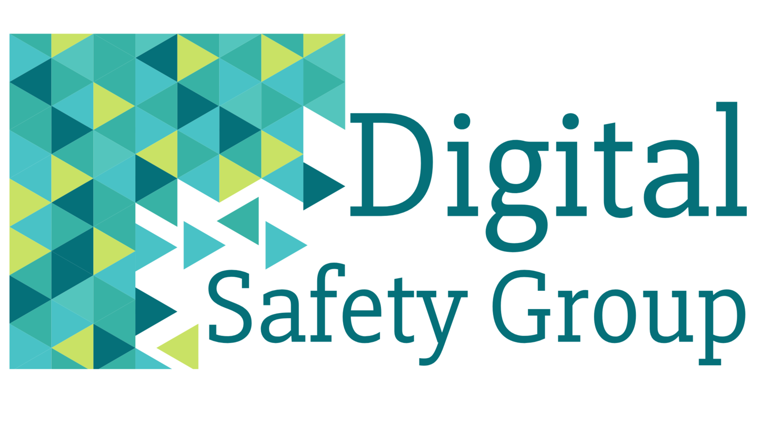 Digital Safety Group