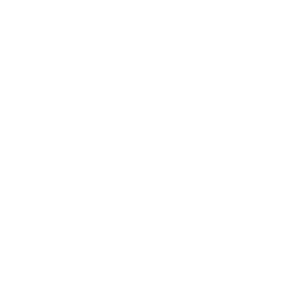 Alpine to Ocean Hydrogeology