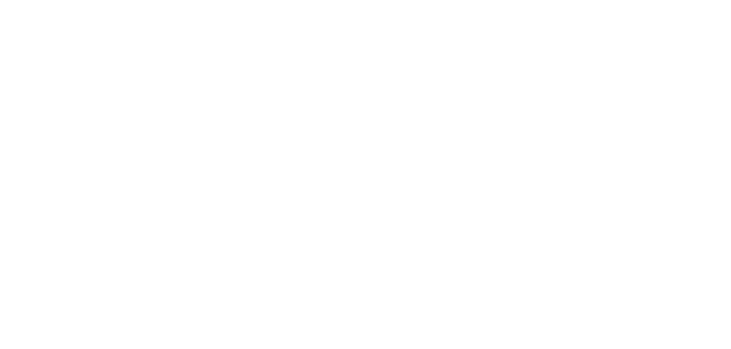 The Magnetic Project