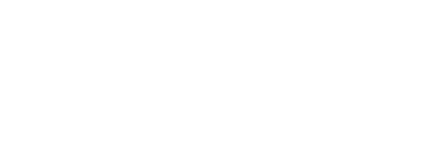 Tara Lee Designs Inc