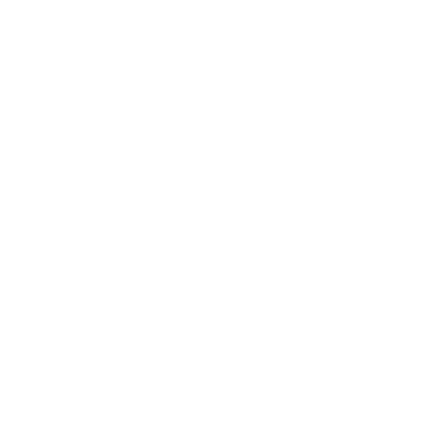 Montana Election Integrity Project