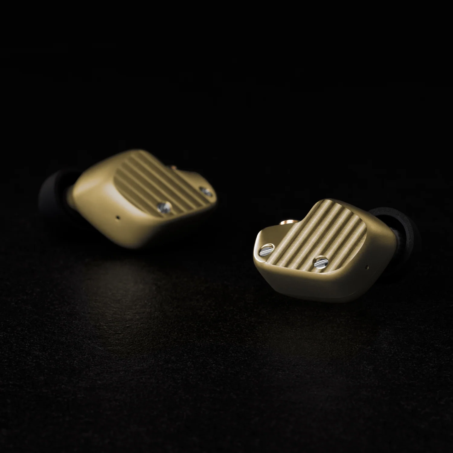 Final Audio Design A10000 + A10000 Collector's Edition — Earphone