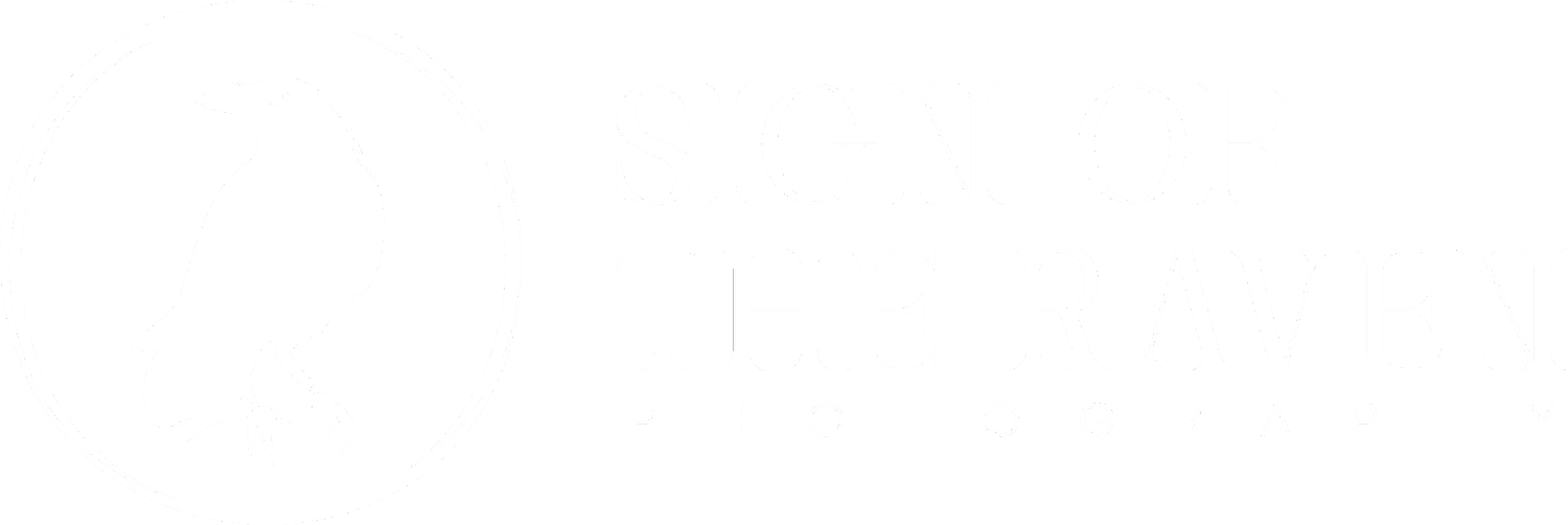 Sign of The Raven Photography 