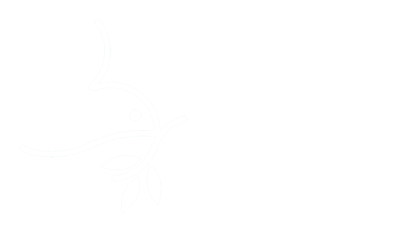 Wildwood Mennonite Church