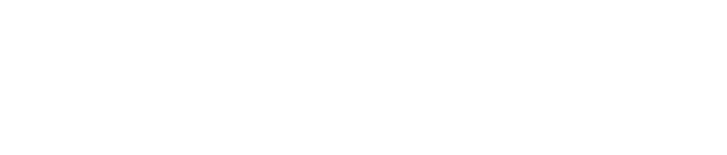 Michigan Interactive Investments (MII)