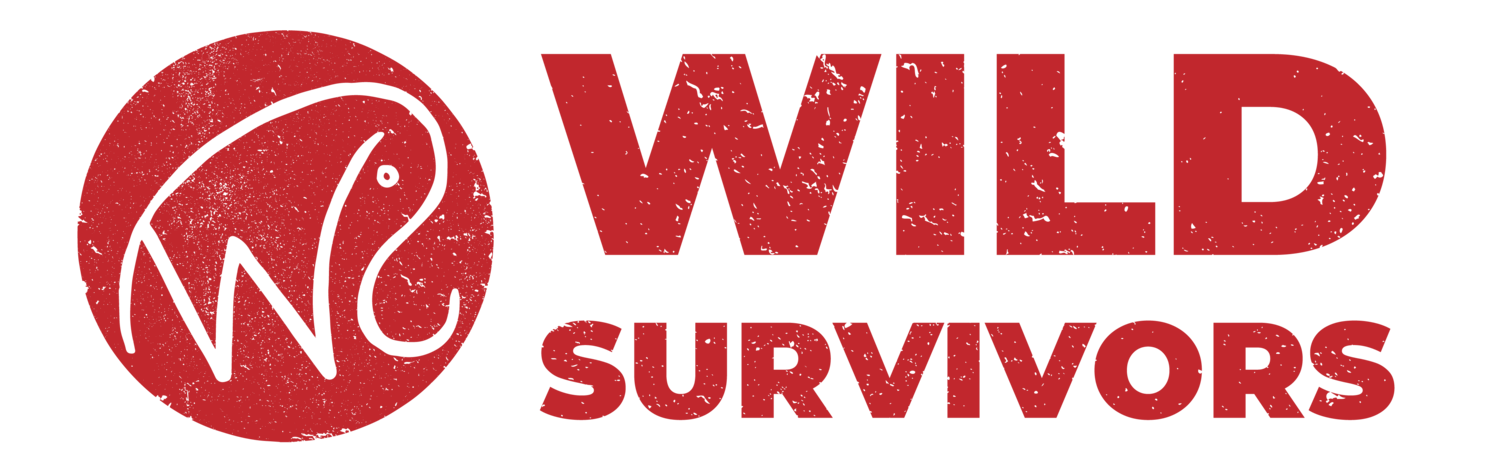 Wild Survivors