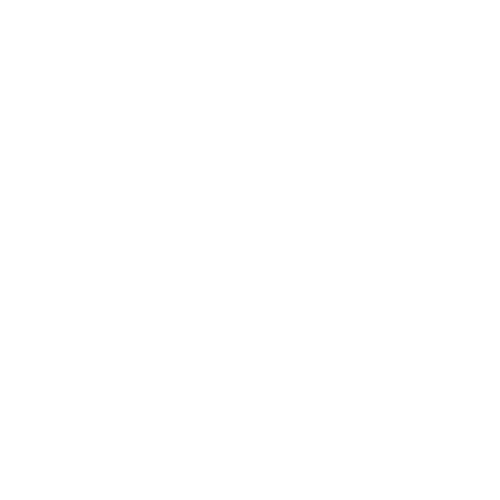 INW Dyslexia Alliance