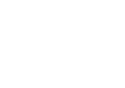 Root Solutions - Your Digital Transformation Partner