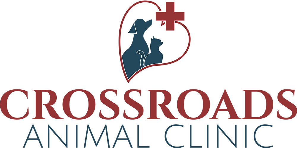 Crossroads Animal Clinic - Waco TX Veterinarian