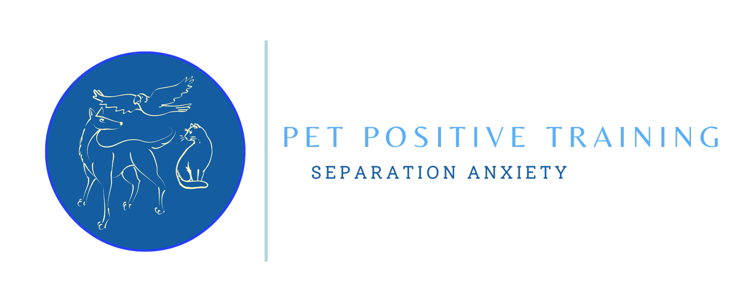 Pet Positive Training - Dog separation anxiety specialist