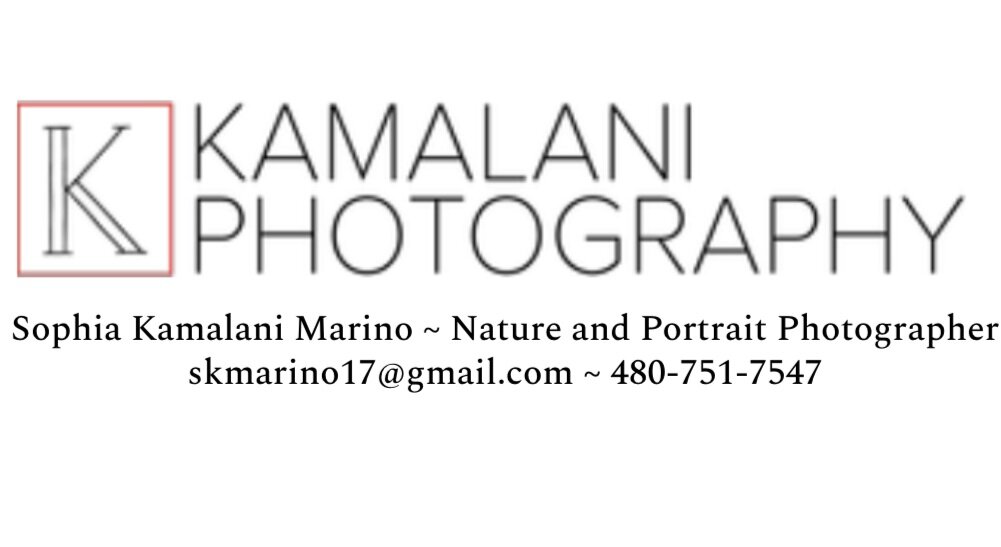 Kamalani Photography