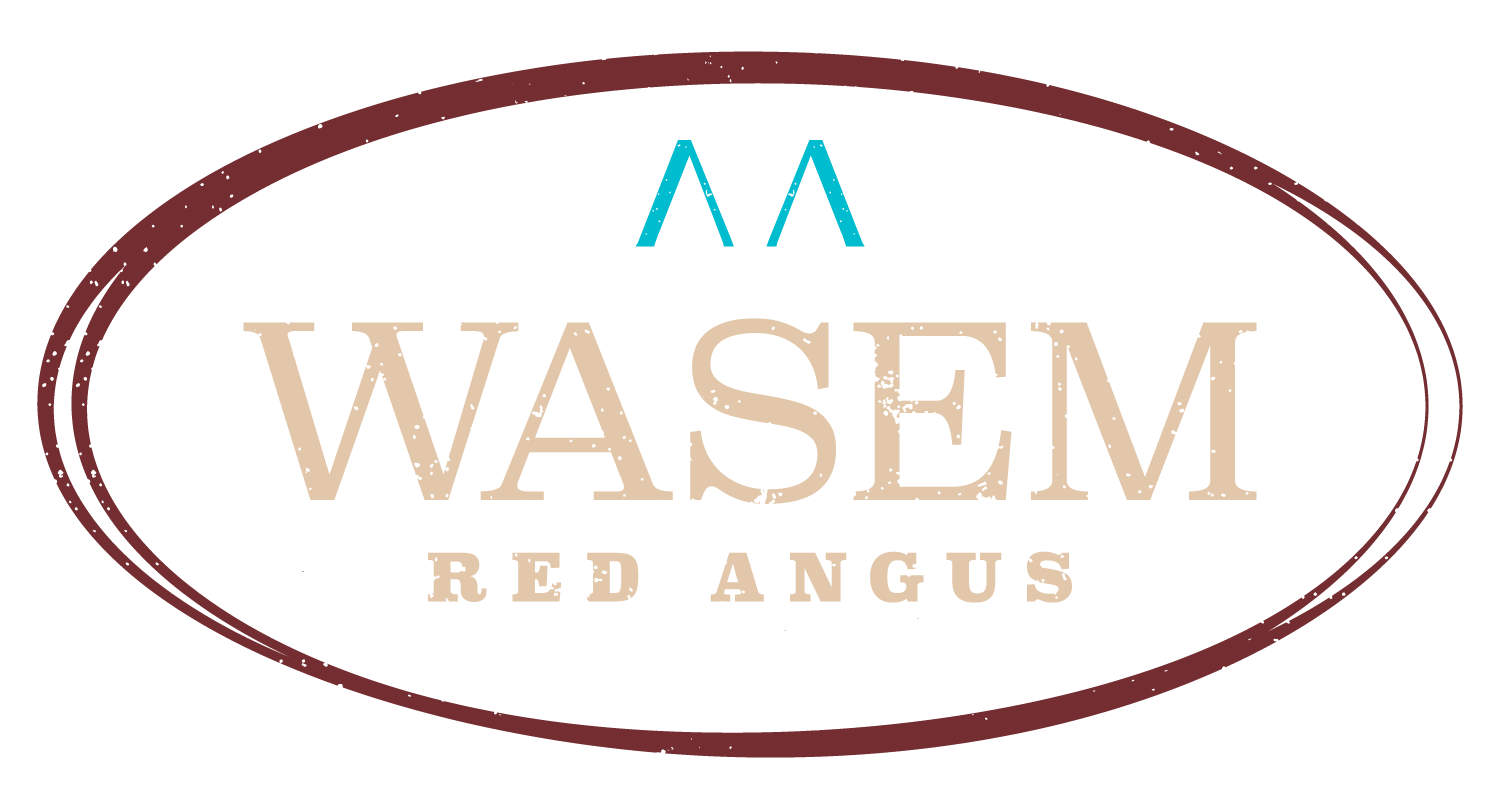 Wasem Red Angus