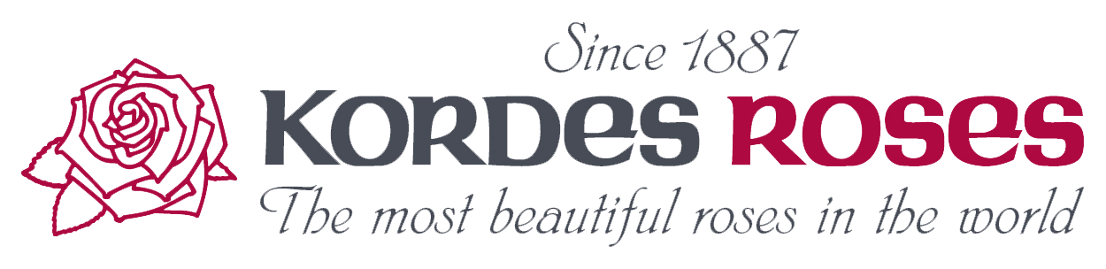 Kordes® Roses