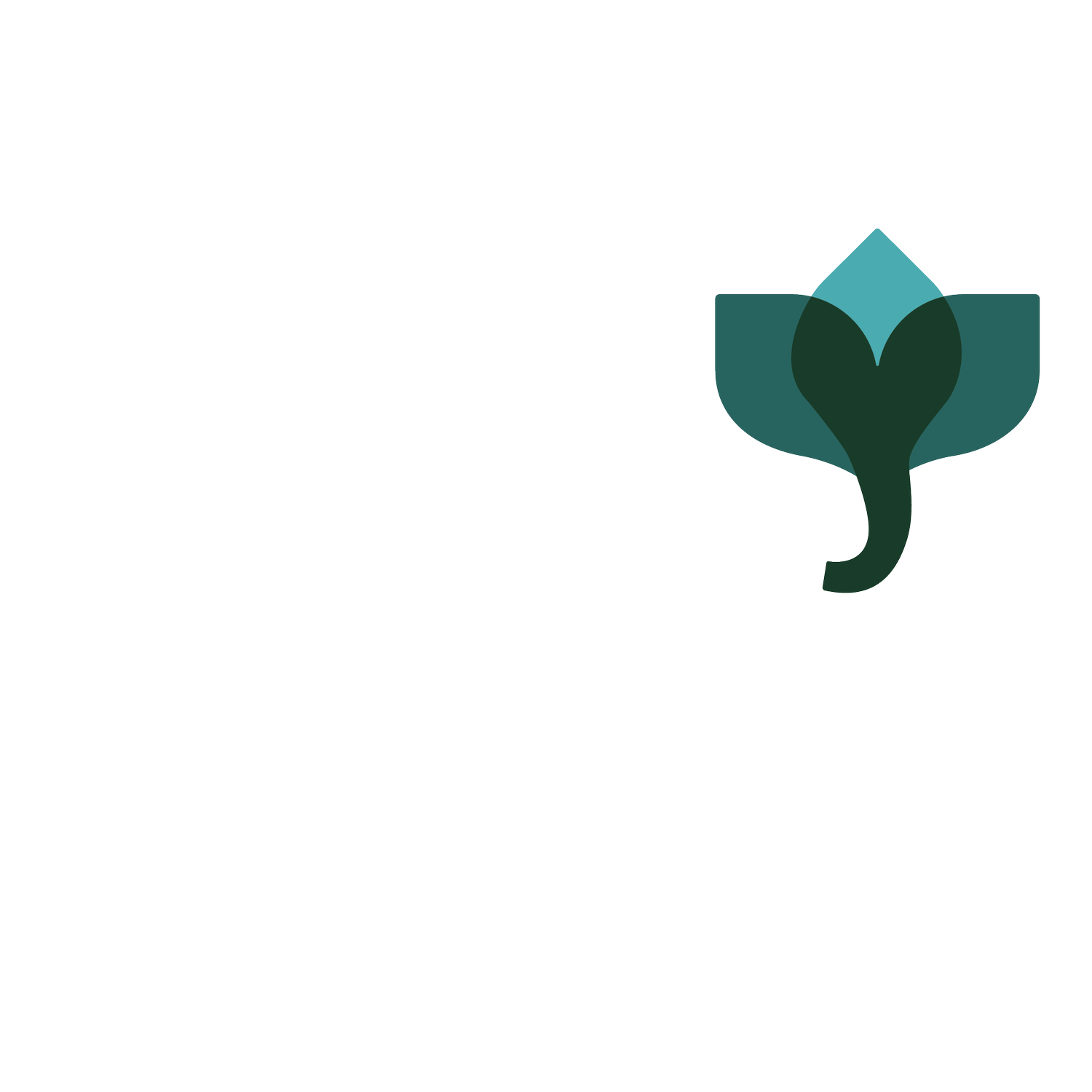 Jenn Forgie Coaching