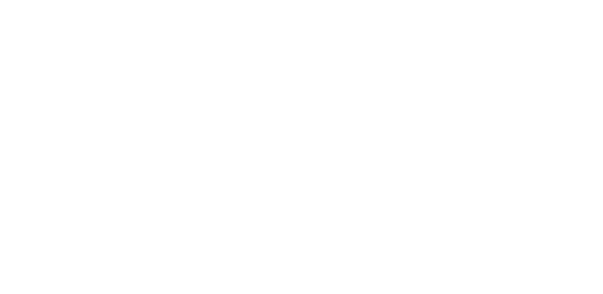 Platinum Limousine Service Inc. dba Platinum Transportation