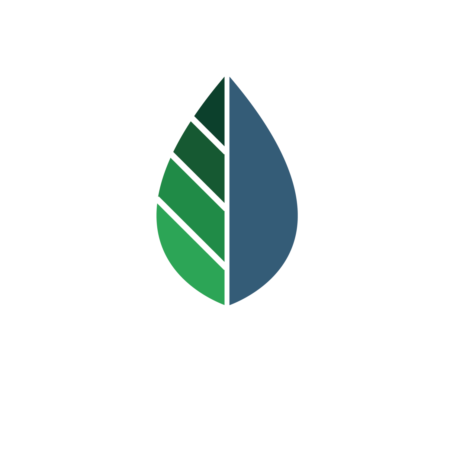 EcoClean Carpet Care