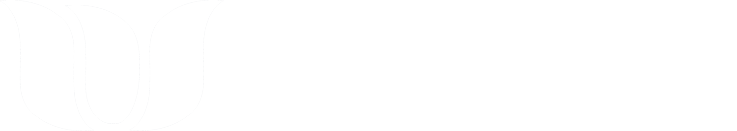 Magnolia Impact Solutions