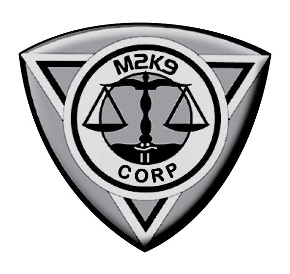 Matrix 2K9 Corporation