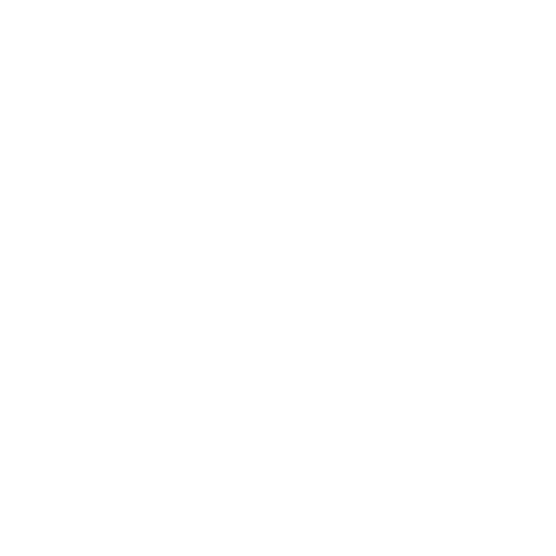 Professor Sam Robertson