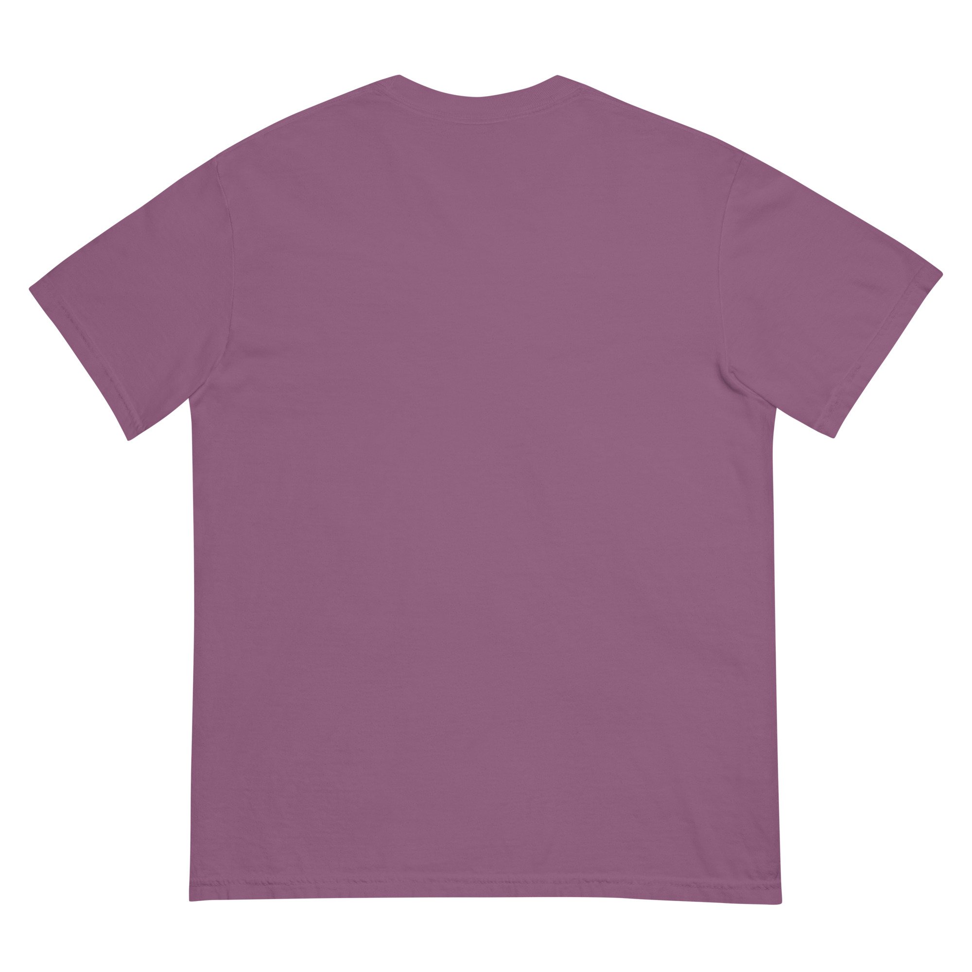 Men's garment-dyed heavyweight t-shirt – FISHMO