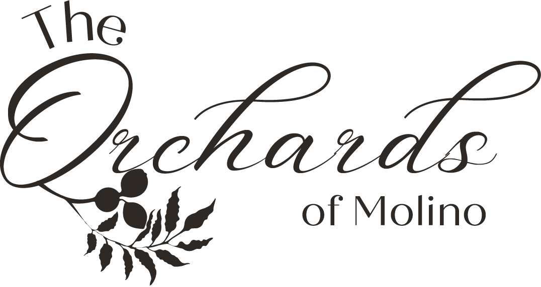 The Orchards of Molino a Pensacola Wedding Venue