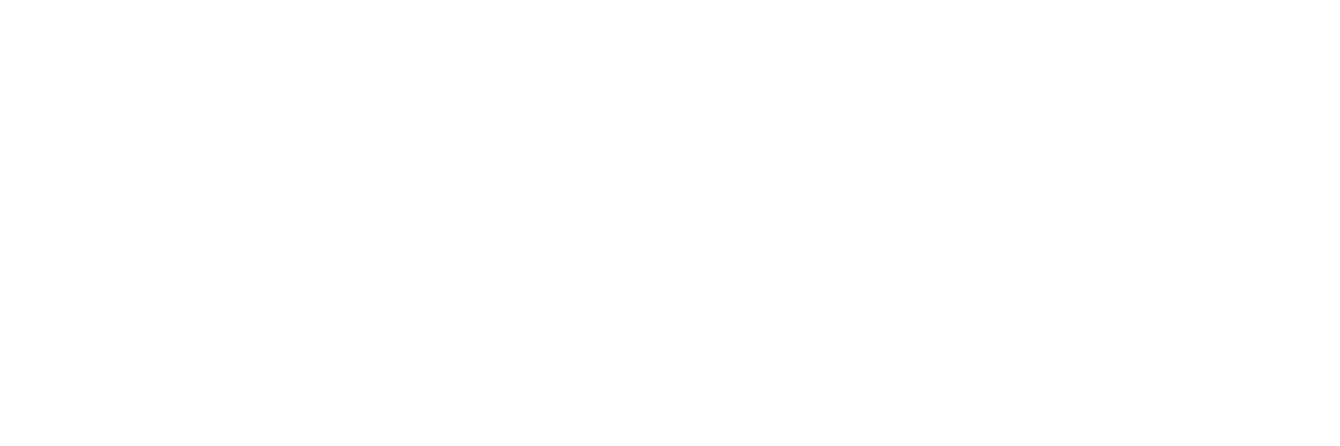 Houston Leadership Group