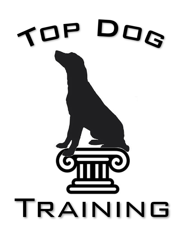 Top Dog Training