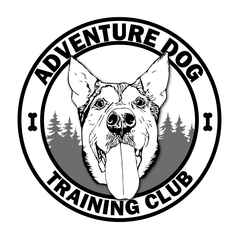 Adventure Dog Training Club 