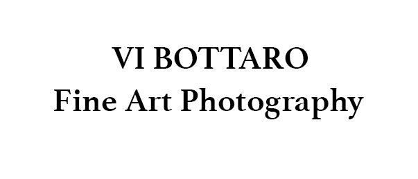                Vi Bottaro Photography