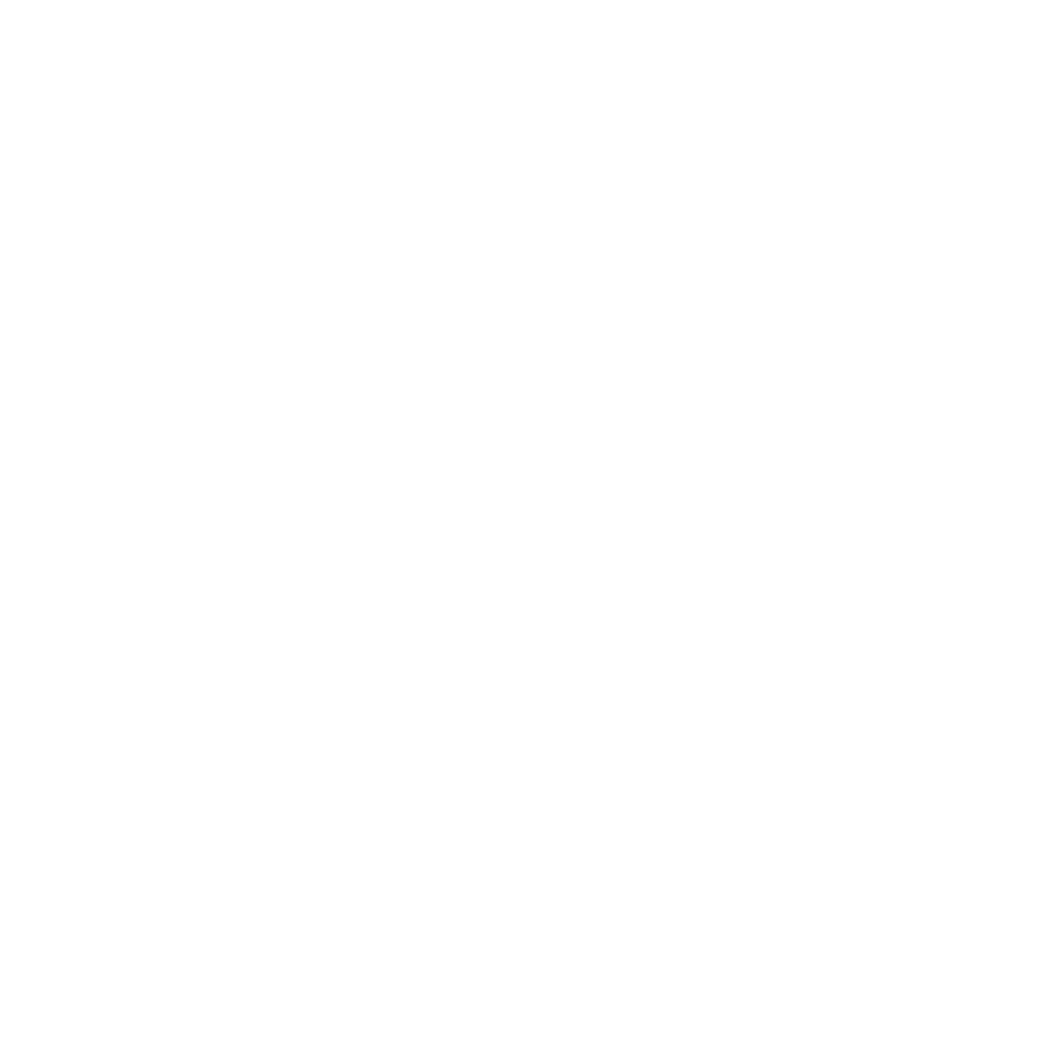 Afghan-American Foundation