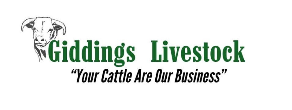 Giddings Livestock