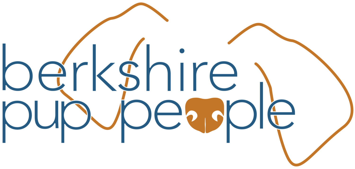 Berkshire Pup People