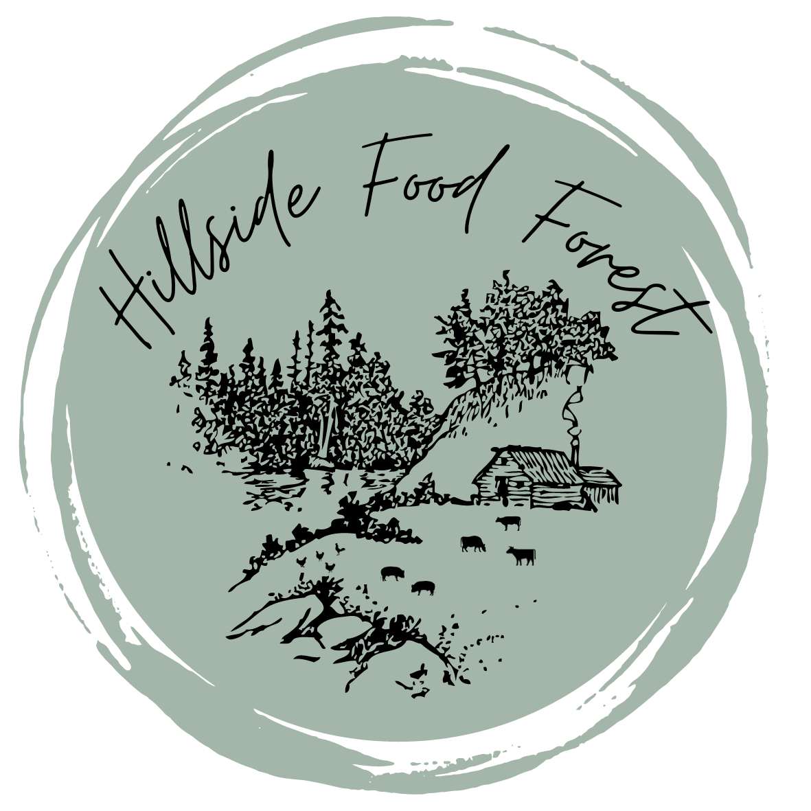 Hillside Food Forest