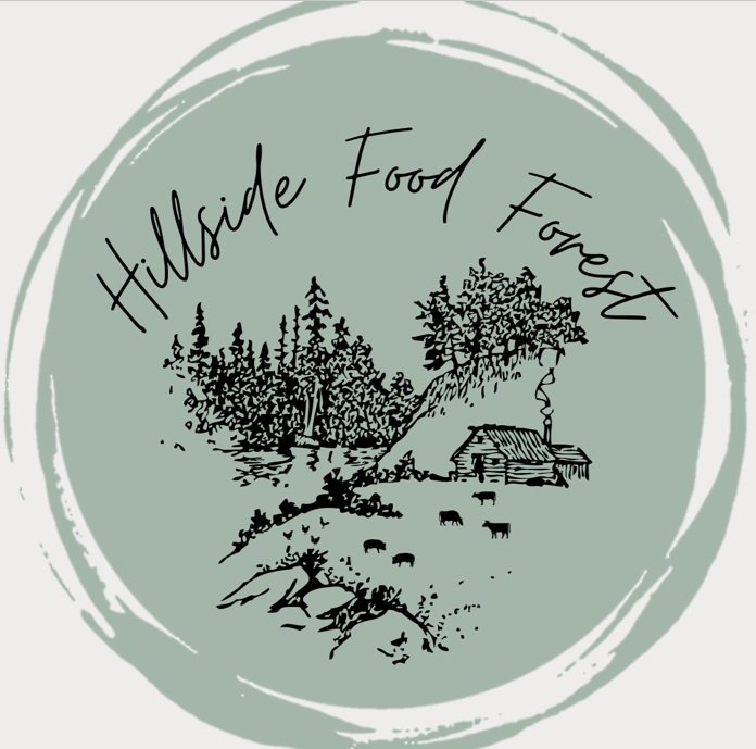 Hillside Food Forest