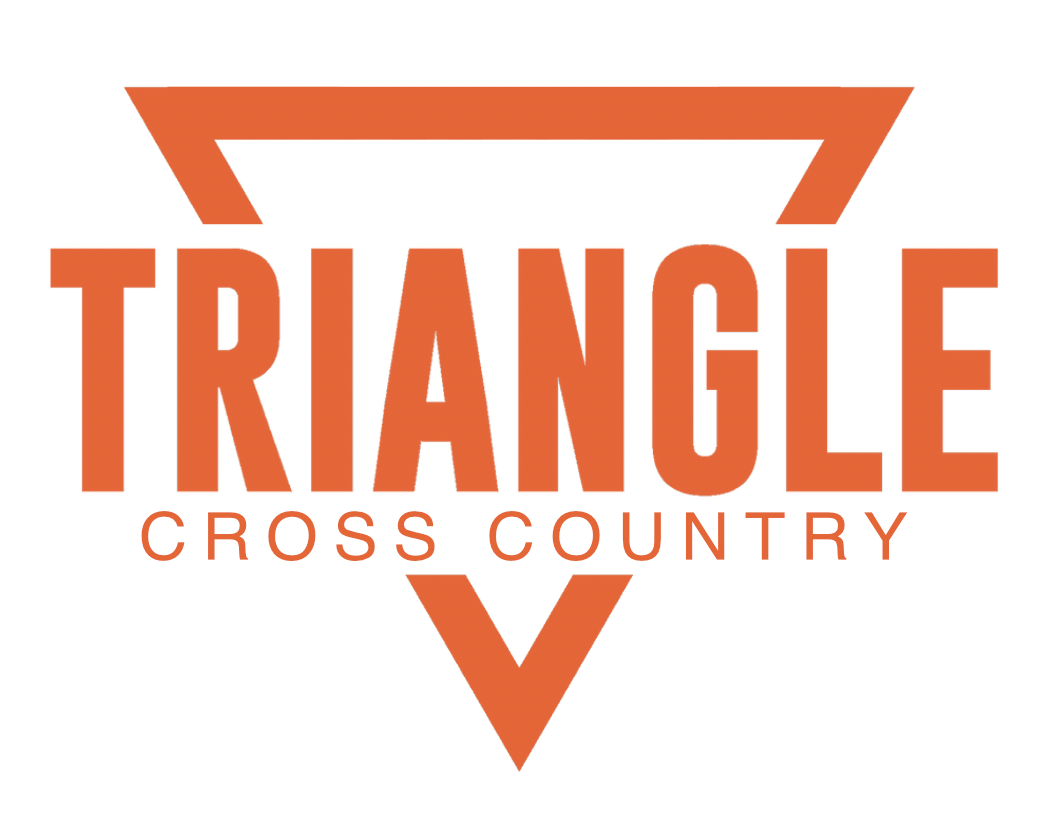 Without Limits Triangle