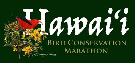 Hawaii Bird Conservation Marathon