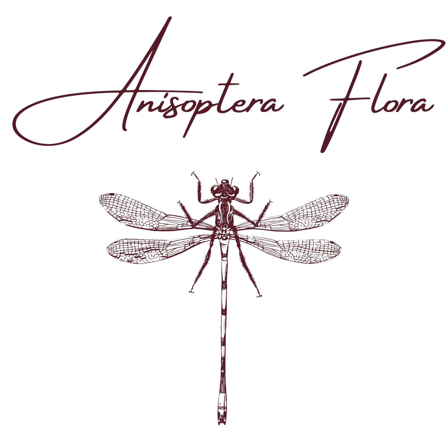 Anisoptera Flora