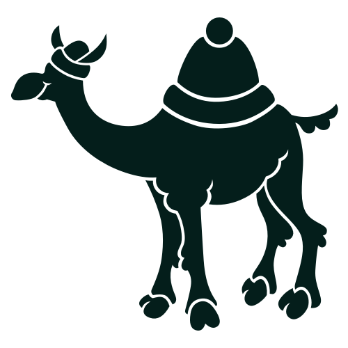 The Cozy Camel