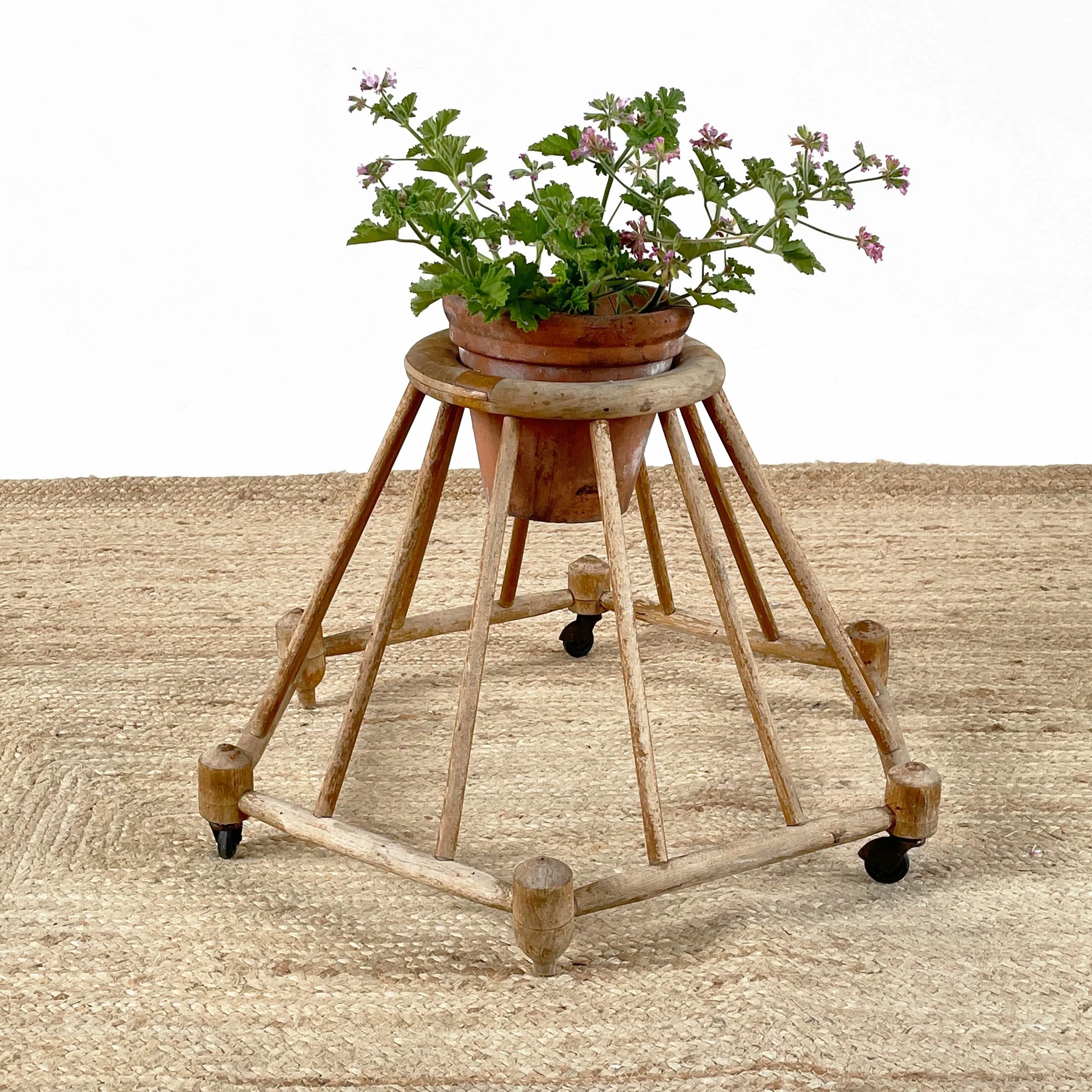 19th Century Decorative Baby Walkers SOAP SALVATION